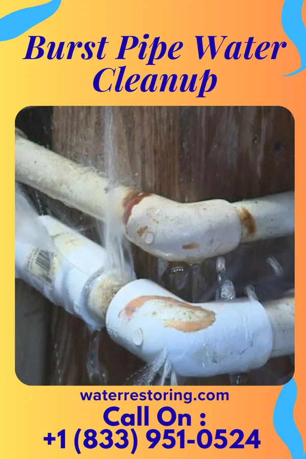 Burst Pipe Water Cleanup in La Veta, CO