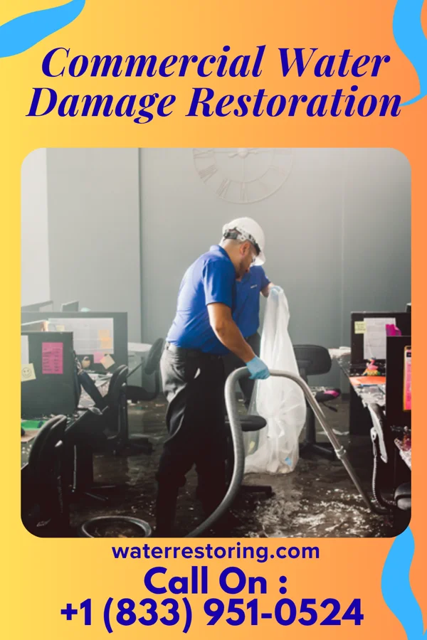 Commercial Water Damage Restoration in La Veta, CO