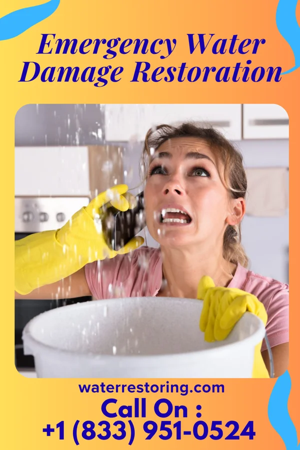 Emergency Water Damage Restoration in La Veta, CO