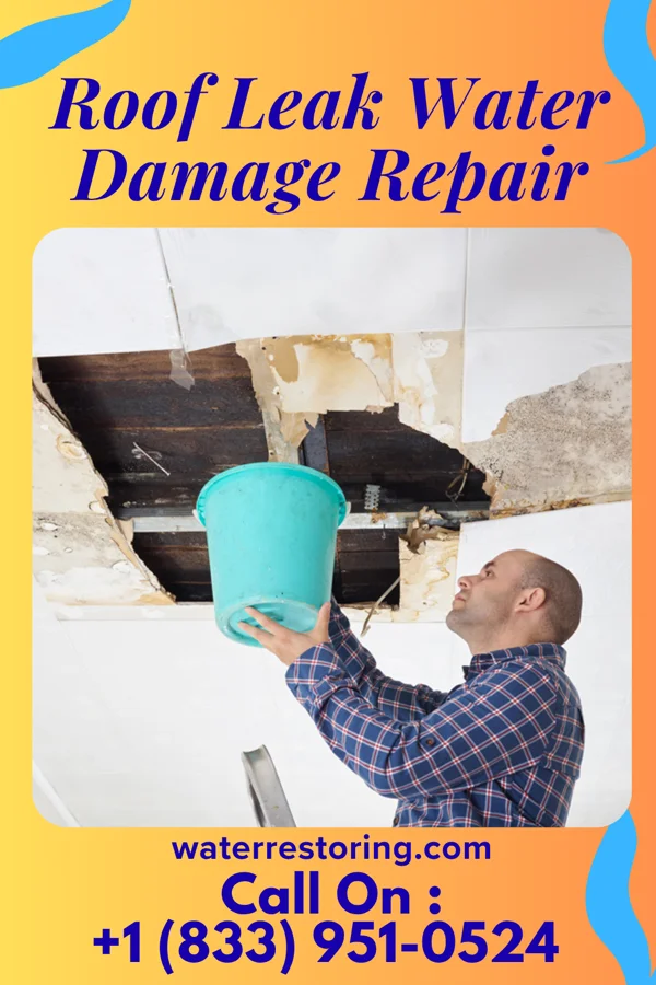 Roof Leak Water Damage Repair in La Veta, CO