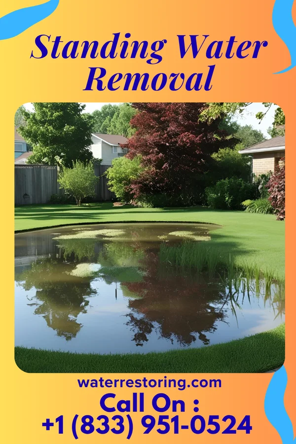Standing Water Removal in La Veta, CO